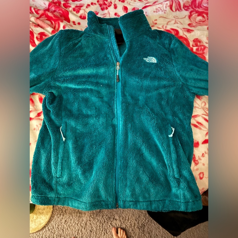 The North Face Green Ski Jacket for Snow Adventures NWOT size large